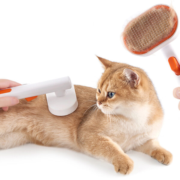 cat moulting brush