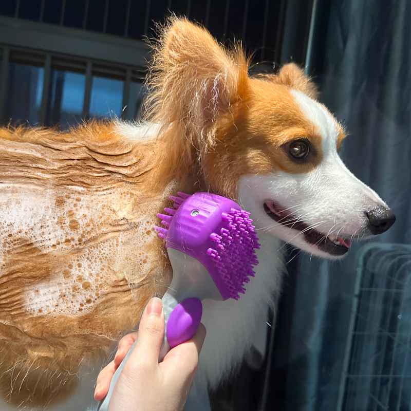 Dog bath brush