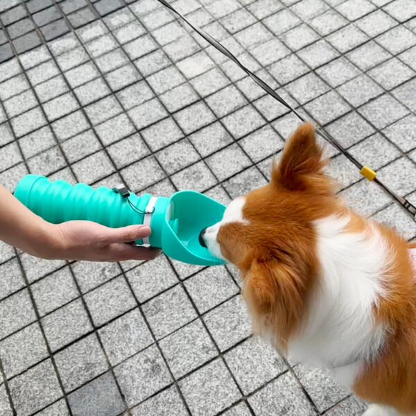 dog water bottle dispenser