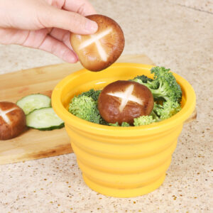 foldable dog water bowl