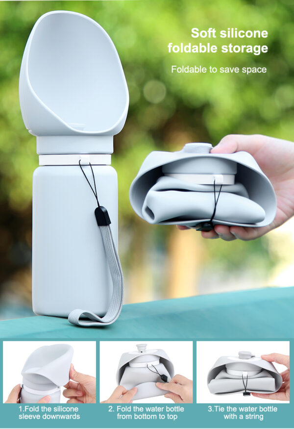 walking dog water bottle
