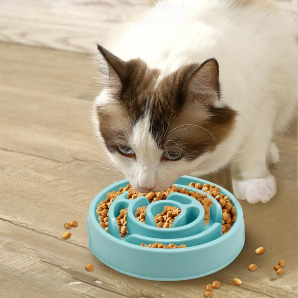 slow feeder bowl